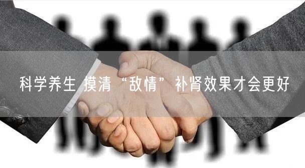 科学养生 摸清“敌情”补肾效果才会更好