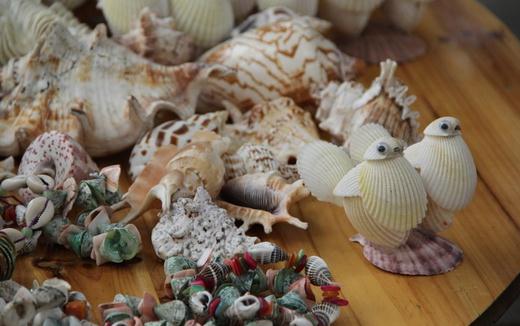 贝壳工艺品的制作方法和文化价值